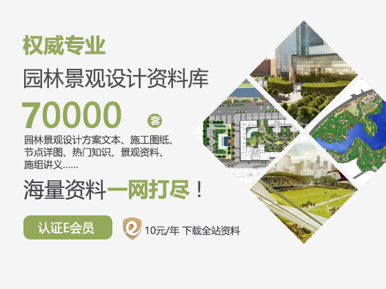 【硕士】重庆都市区城市空间结构形态发展研究